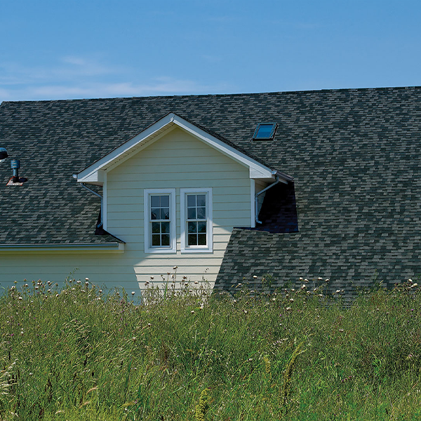 BTM Shingle Lamine-2